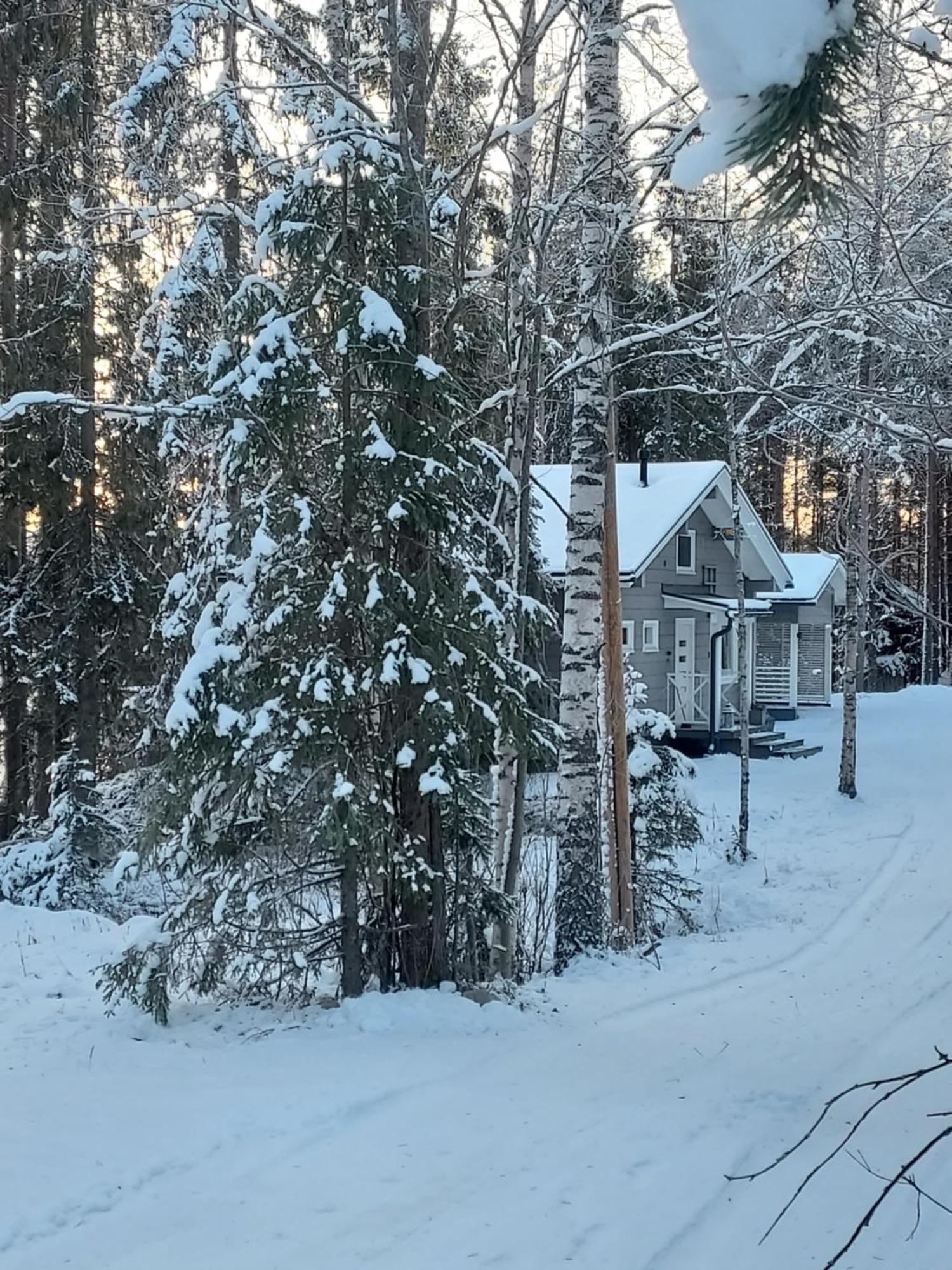 Villa Sirius Sieri, Nice Log-Cottage By The Lake Rovaniemi Buitenkant foto